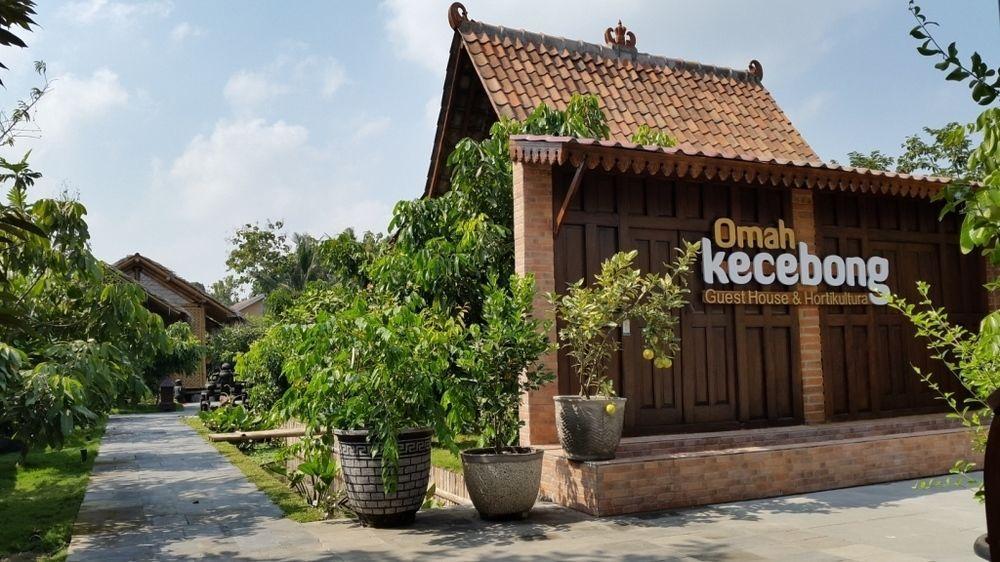 Omah Kecebong Hotel Yogyakarta Exterior photo